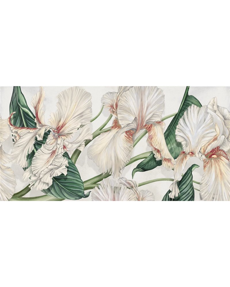 WILD IRIS SE34409