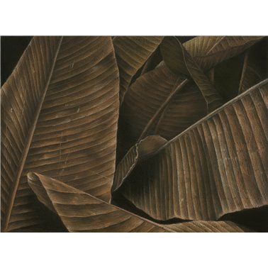 AUTUMN-LEAVES SE32118