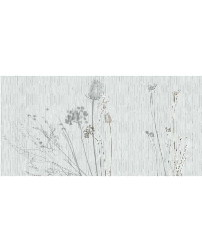 MEMOIRES SE34212-C