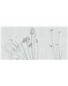MEMOIRES SE34212-C
