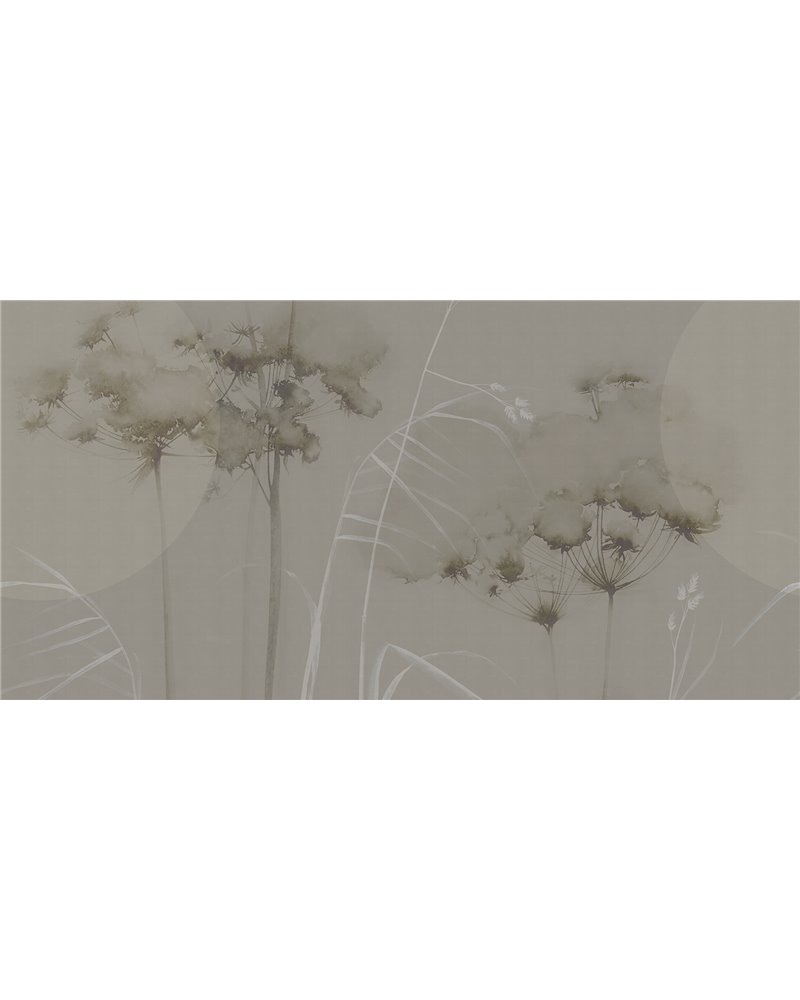 FIELD SE34436
