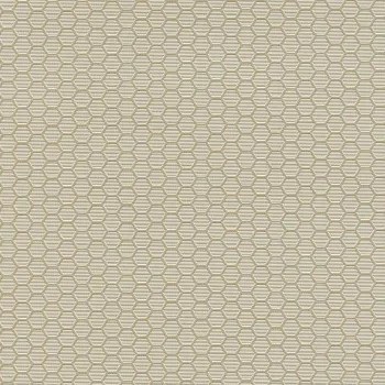 IMG HEXAGON GRID