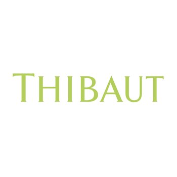 IMG THIBAUT