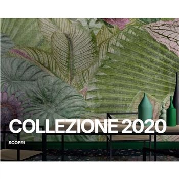 IMG COLLECTION 2020