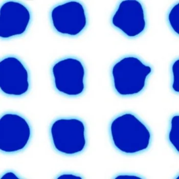 IMG ADDICTION BY PAOLA NAVONE