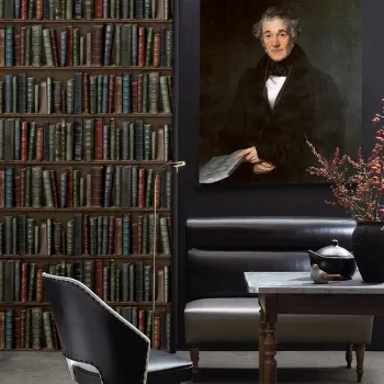 IMG Libraries / Bookshelves