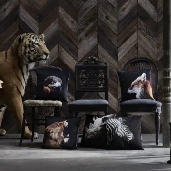 IMG Animais