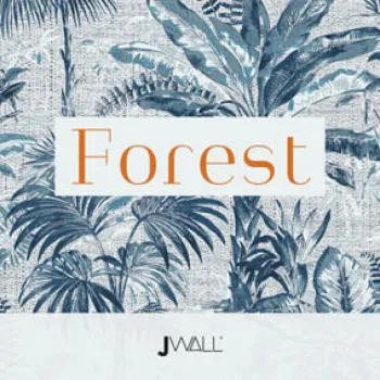 IMG FOREST