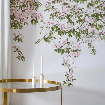 IMG CLEMATIS