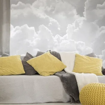 Murals of Skies and Clouds