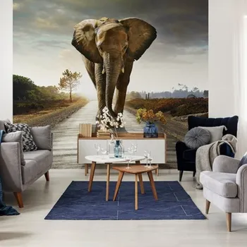 Animal Wall Murals - Negozio online