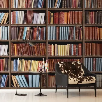 Bookcase Effect Wall Murals