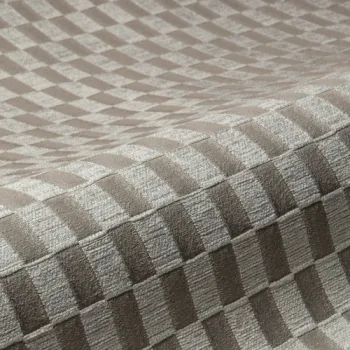 IMG DAMIER