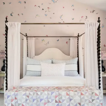 IMG BUTTERFLIES