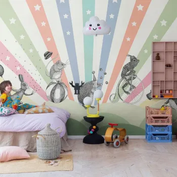 IMG DREAMLAND